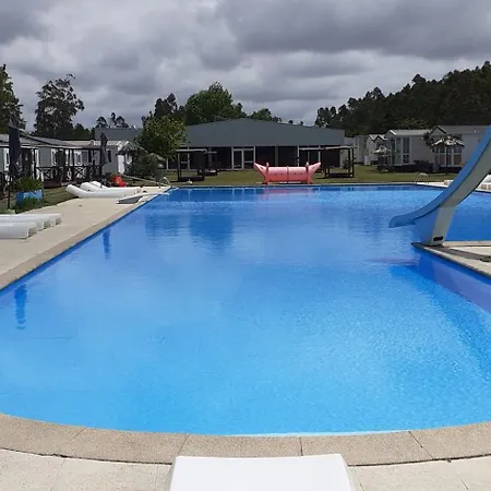 Atlantic Shell * Pataias