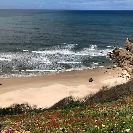 Atlantic Shell * Pataias